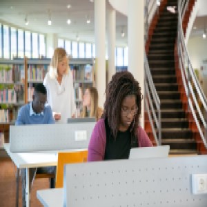 Prácticas y tutorías